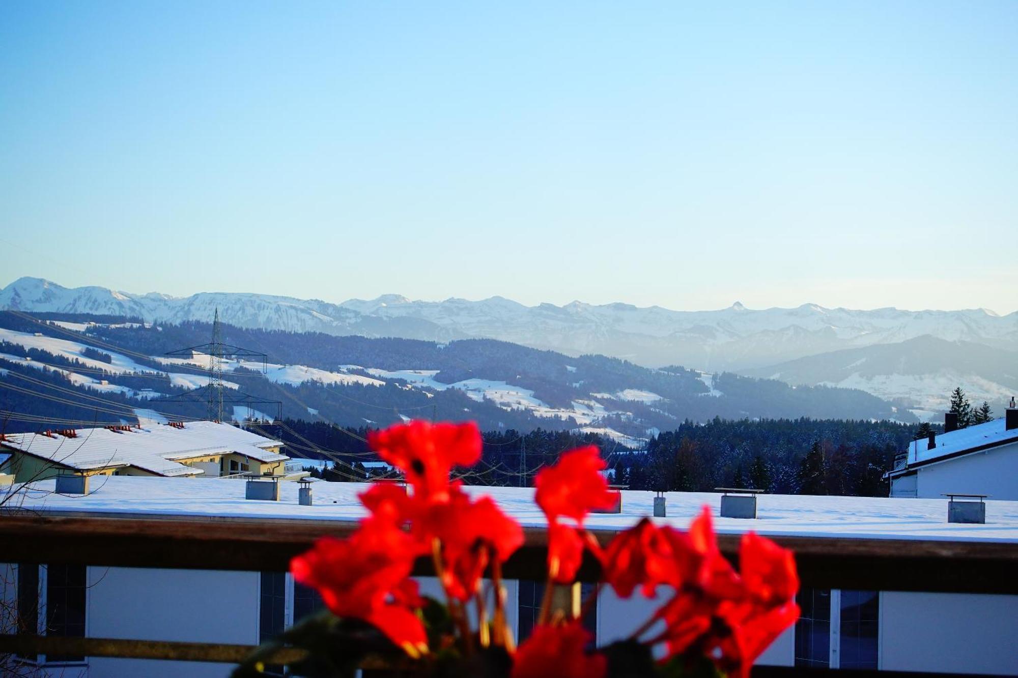 Relax-Red Mit Pool Und Sauna Scheidegg Exterior foto